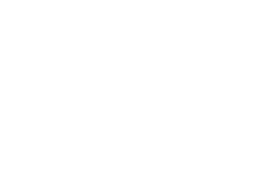 Lewis Estates Golf Course logo