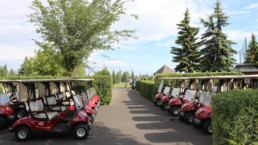 Power carts at Lewis Estates Golf Course